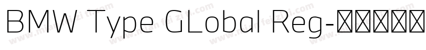 BMW Type GLobal Reg字体转换